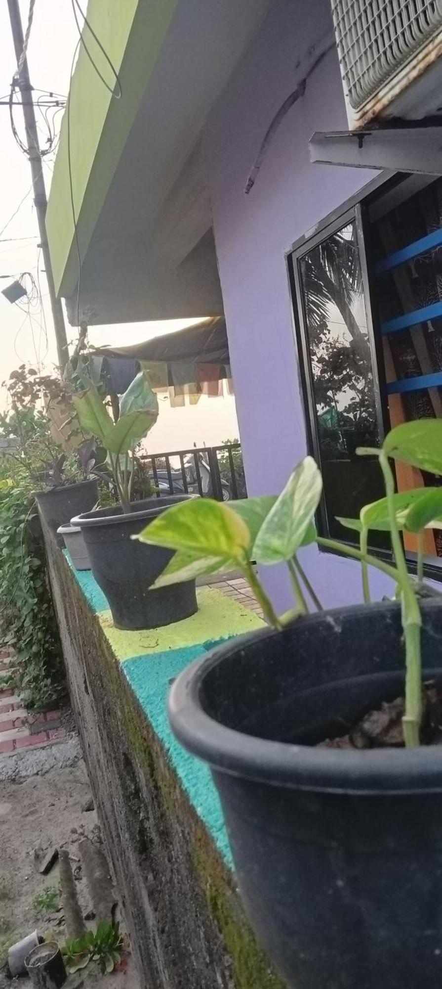 Homestay Peace And *