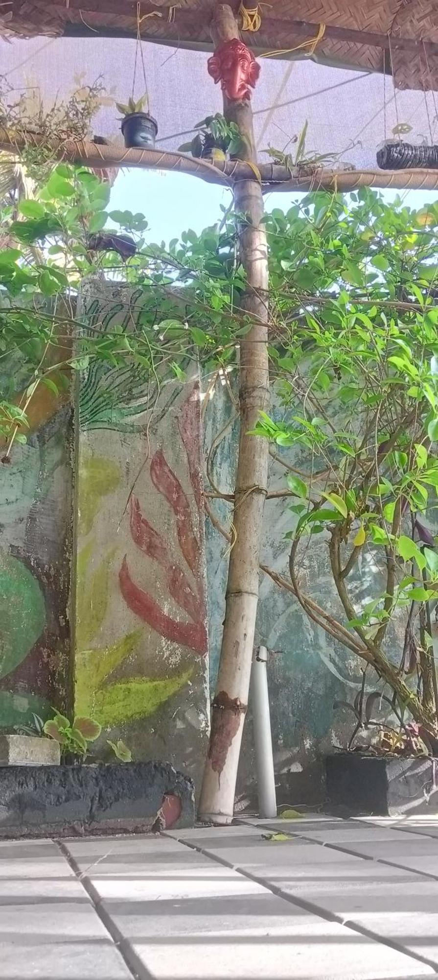 Homestay Peace And *
